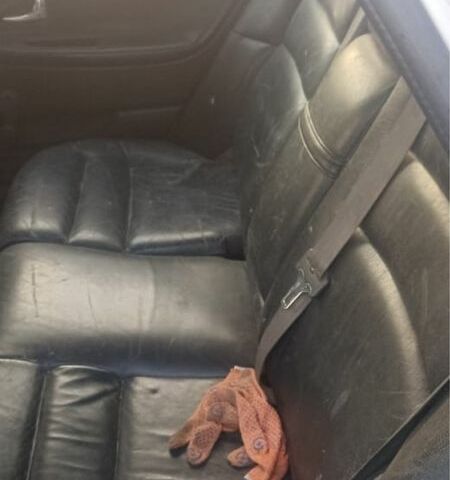 Зелений Вольво V40, об'ємом двигуна 1.9 л та пробігом 2 тис. км за 1431 $, фото 4 на Automoto.ua