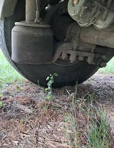 Червоний Віелтон ПТС, об'ємом двигуна 0 л та пробігом 100 тис. км за 4800 $, фото 14 на Automoto.ua