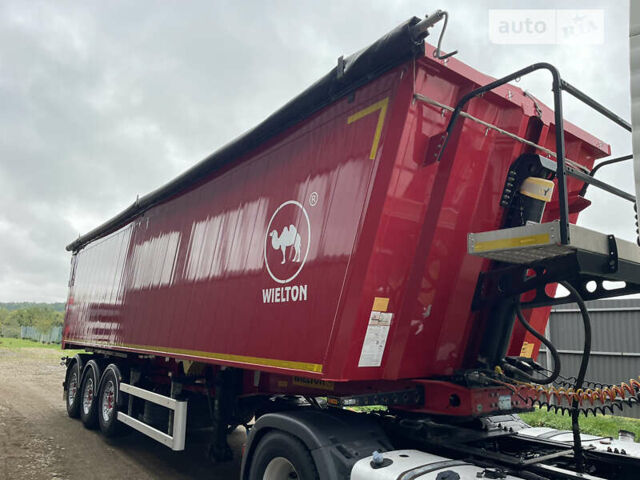 Виелтон NW 3, объемом двигателя 0 л и пробегом 10 тыс. км за 36500 $, фото 17 на Automoto.ua