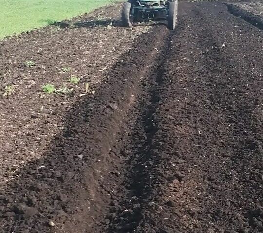 ЮМЗ Інша 1988 у Ратне на Automoto.ua ЮМЗ Інша, об'ємом двигуна 3.91 л та пробігом 0 тис. км за 10000 $, фото 2 на Automoto.ua