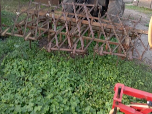 ЮМЗ Другая, объемом двигателя 0 л и пробегом 0 тыс. км за 2500 $, фото 4 на Automoto.ua