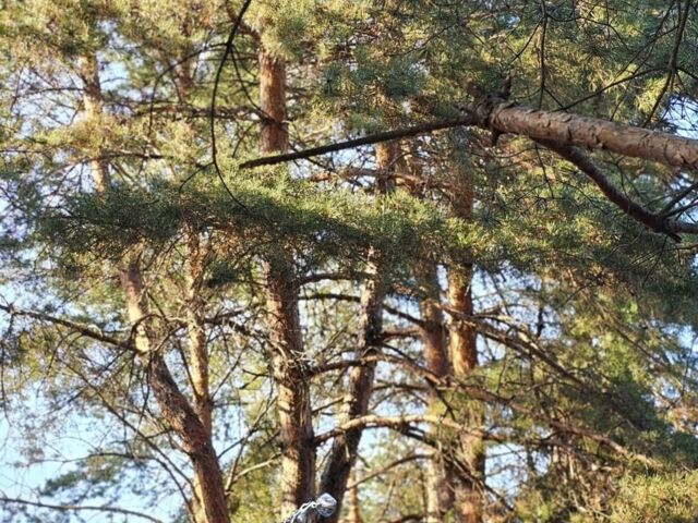 Ямаха 3302 2005 в Кременчуге на Automoto.ua Серый Ямаха 3302, объемом двигателя 1.9 л и пробегом 0 тыс. км за 9000 $, фото 12 на Automoto.ua