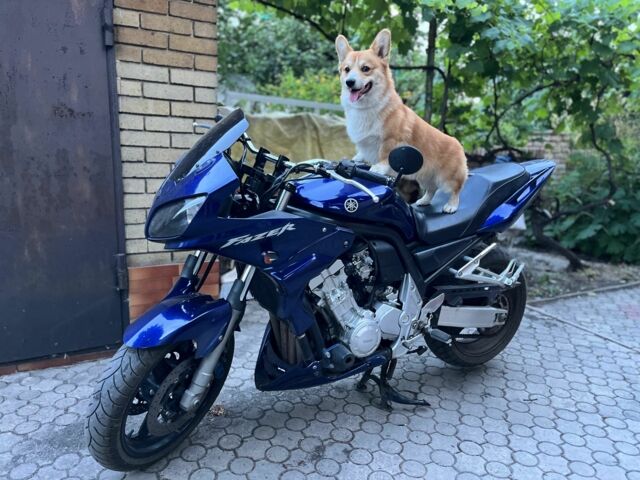 Ямаха 6510, объемом двигателя 1 л и пробегом 0 тыс. км за 4400 $, фото 4 на Automoto.ua