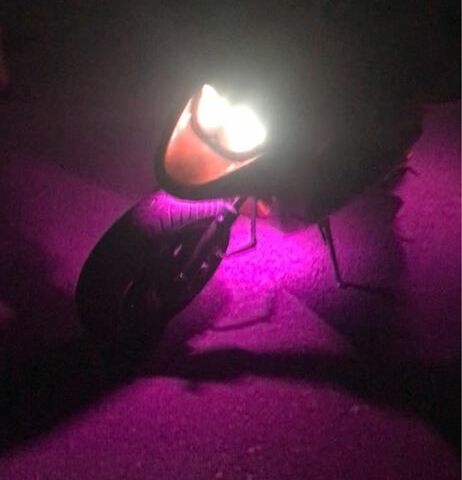 Ямаха БВС, объемом двигателя 70 л и пробегом 0 тыс. км за 1424 $, фото 5 на Automoto.ua