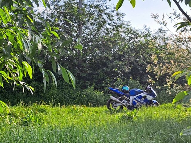 Ямаха Р6, объемом двигателя 0.6 л и пробегом 0 тыс. км за 3900 $, фото 2 на Automoto.ua