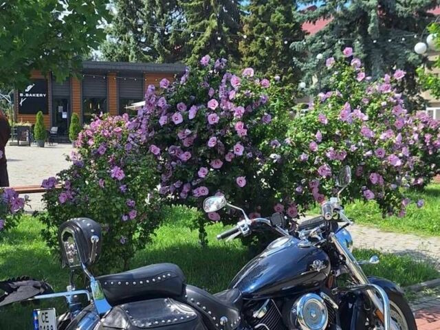 Ямаха В-Стар, объемом двигателя 1.1 л и пробегом 0 тыс. км за 6300 $, фото 1 на Automoto.ua