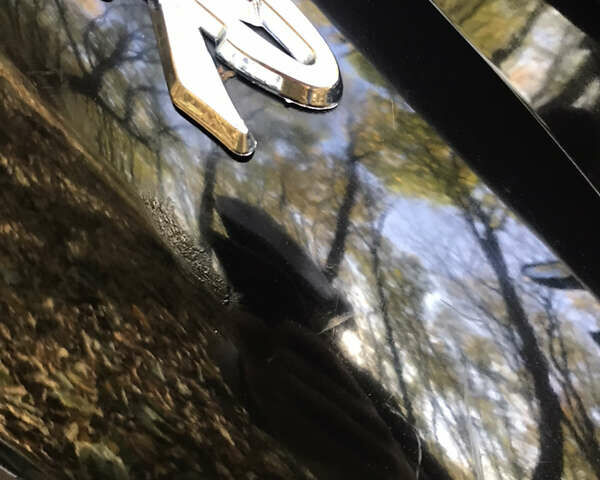 Ямаха  Jog SA 39 ZR, объемом двигателя 0.49 л и пробегом 21 тыс. км за 580 $, фото 10 на Automoto.ua