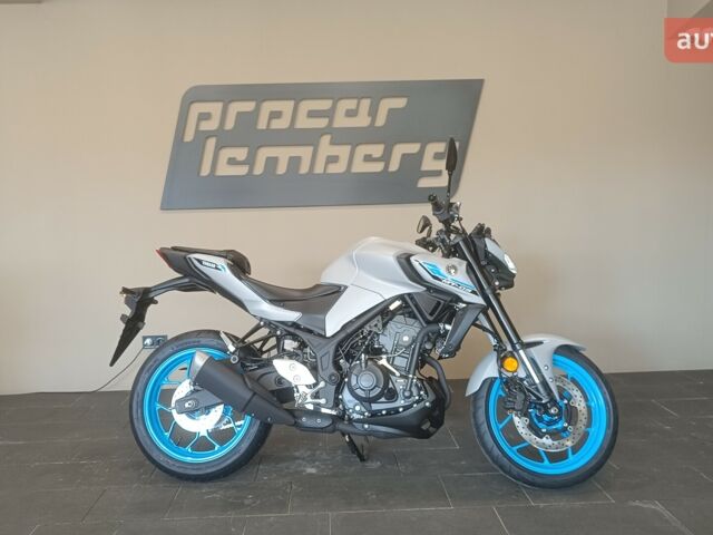 Ямаха MT-03, объемом двигателя 0.32 л и пробегом 0 тыс. км за 7115 $, фото 12 на Automoto.ua