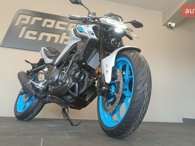 Ямаха MT-03, объемом двигателя 0.32 л и пробегом 0 тыс. км за 7115 $, фото 33 на Automoto.ua