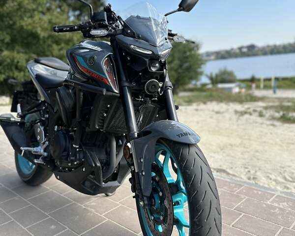 Серый Ямаха MT-03, объемом двигателя 0.32 л и пробегом 6 тыс. км за 5800 $, фото 5 на Automoto.ua