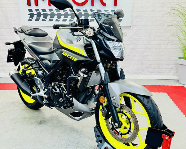 Серый Ямаха MT-03, объемом двигателя 0.32 л и пробегом 3 тыс. км за 5000 $, фото 28 на Automoto.ua