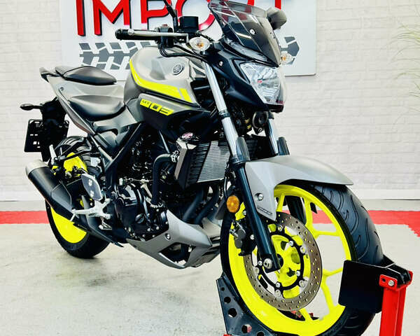 Серый Ямаха MT-03, объемом двигателя 0.32 л и пробегом 3 тыс. км за 5000 $, фото 3 на Automoto.ua