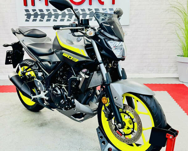 Серый Ямаха MT-03, объемом двигателя 0.32 л и пробегом 3 тыс. км за 5000 $, фото 1 на Automoto.ua