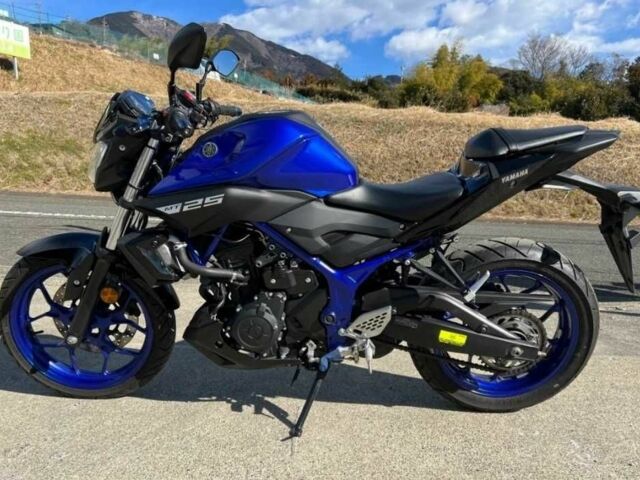 Ямаха MT-25, об'ємом двигуна 0.25 л та пробігом 0 тис. км за 4249 $, фото 1 на Automoto.ua
