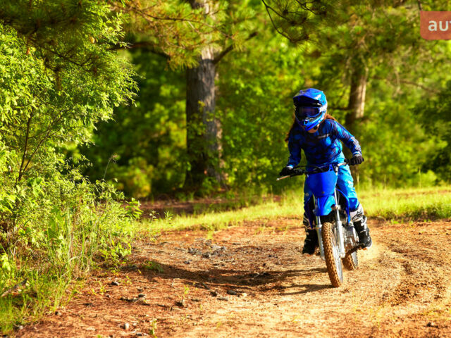 купити нове авто Ямаха TT-R 110 2025 року від офіційного дилера "ВІДІ Мото Лайф" - офіційний дилер Yamaha в Києві Ямаха фото