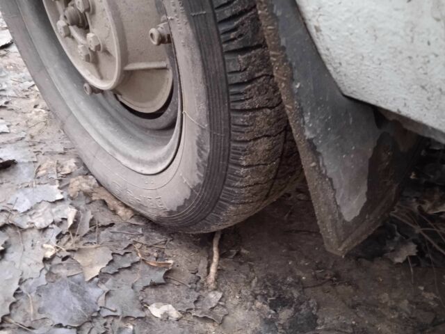 Білий ЗАЗ 1102 Таврія, об'ємом двигуна 1.1 л та пробігом 100 тис. км за 366 $, фото 6 на Automoto.ua