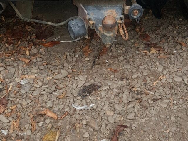 Синий ЗАЗ 1102 Таврия, объемом двигателя 1.1 л и пробегом 228 тыс. км за 510 $, фото 5 на Automoto.ua