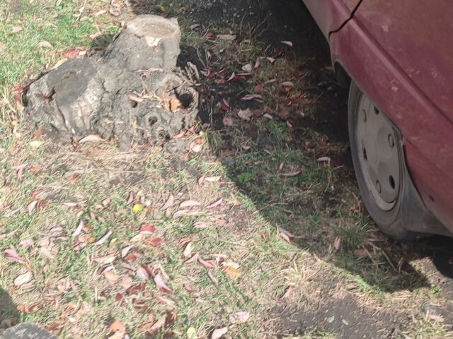 Красный ЗАЗ 1103 Славута, объемом двигателя 1.2 л и пробегом 150 тыс. км за 359 $, фото 2 на Automoto.ua