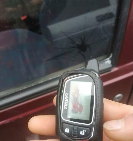 Красный ЗАЗ 1103 Славута, объемом двигателя 1.2 л и пробегом 181 тыс. км за 1250 $, фото 4 на Automoto.ua