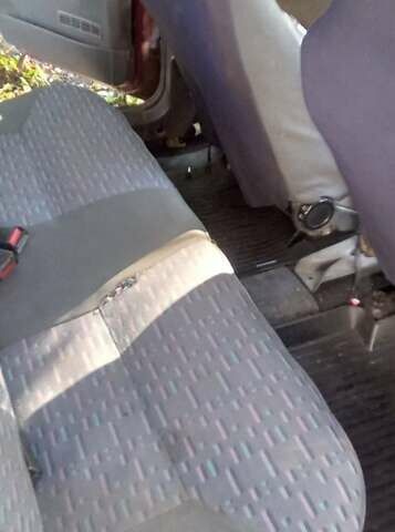 Червоний ЗАЗ 1103 Славута, об'ємом двигуна 1.2 л та пробігом 43 тис. км за 850 $, фото 5 на Automoto.ua