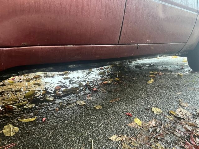 Красный ЗАЗ 1103 Славута, объемом двигателя 1.2 л и пробегом 2 тыс. км за 700 $, фото 5 на Automoto.ua