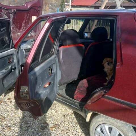 Красный ЗАЗ 1103 Славута, объемом двигателя 1.2 л и пробегом 120 тыс. км за 750 $, фото 2 на Automoto.ua