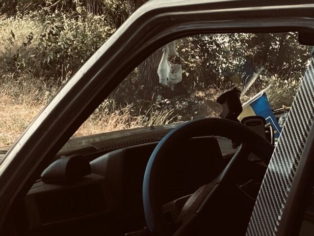 ЗАЗ 1103 Славута 2004 в Сумах на Automoto.ua Серый ЗАЗ 1103 Славута, объемом двигателя 1.2 л и пробегом 100 тыс. км за 839 $, фото 5 на Automoto.ua