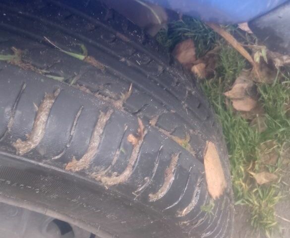 Синий ЗАЗ 1103 Славута, объемом двигателя 1.2 л и пробегом 123 тыс. км за 357 $, фото 3 на Automoto.ua