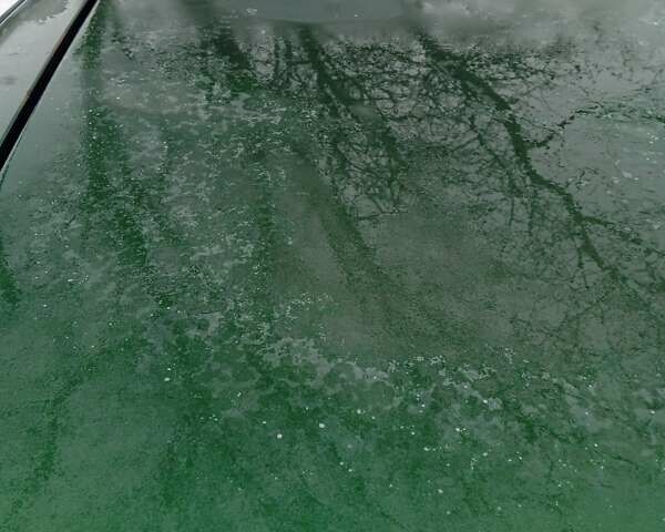 Зелений ЗАЗ 1103 Славута, об'ємом двигуна 1.2 л та пробігом 150 тис. км за 1150 $, фото 16 на Automoto.ua