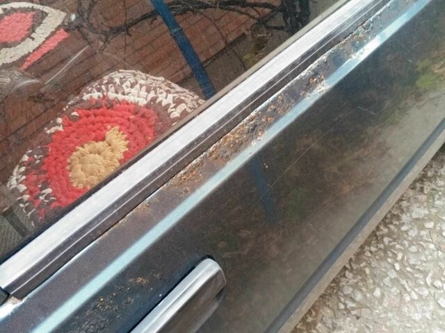 Зеленый ЗАЗ 1103 Славута, объемом двигателя 1.2 л и пробегом 2 тыс. км за 692 $, фото 3 на Automoto.ua