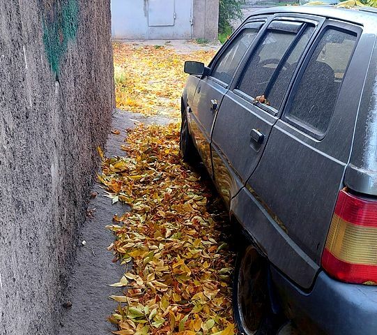 Сірий ЗАЗ 1105 Дана, об'ємом двигуна 1.3 л та пробігом 111 тис. км за 600 $, фото 4 на Automoto.ua