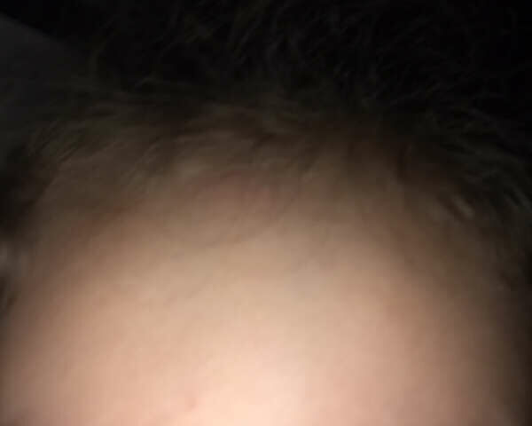 Білий ЗАЗ 110558, об'ємом двигуна 1.2 л та пробігом 173 тис. км за 844 $, фото 12 на Automoto.ua