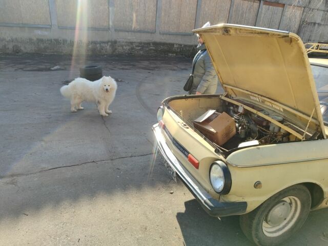 Бежевый ЗАЗ 968, объемом двигателя 1.2 л и пробегом 20 тыс. км за 291 $, фото 1 на Automoto.ua