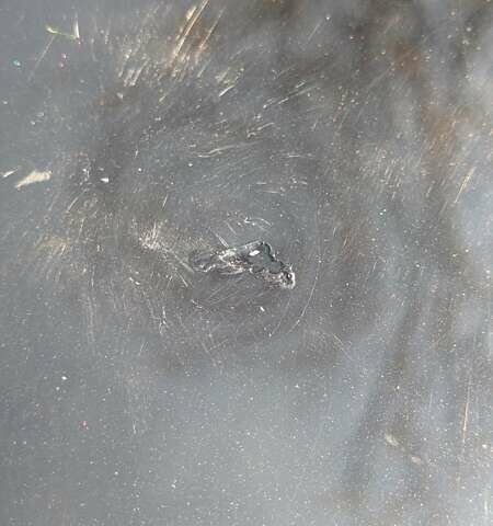 Черный ЗАЗ Сенс, объемом двигателя 1.3 л и пробегом 112 тыс. км за 2300 $, фото 13 на Automoto.ua