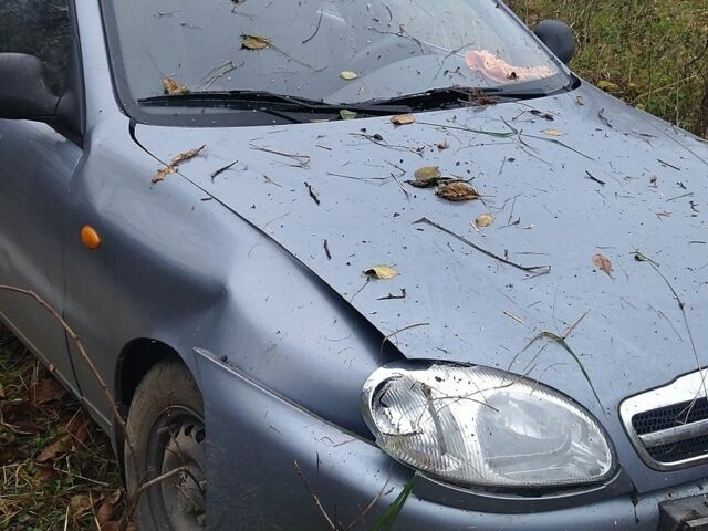 Сірий ЗАЗ Sens, об'ємом двигуна 0 л та пробігом 3 тис. км за 1000 $, фото 3 на Automoto.ua