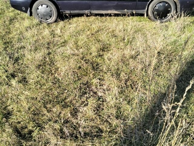 Синий ЗАЗ Сенс, объемом двигателя 1.3 л и пробегом 300 тыс. км за 1313 $, фото 1 на Automoto.ua