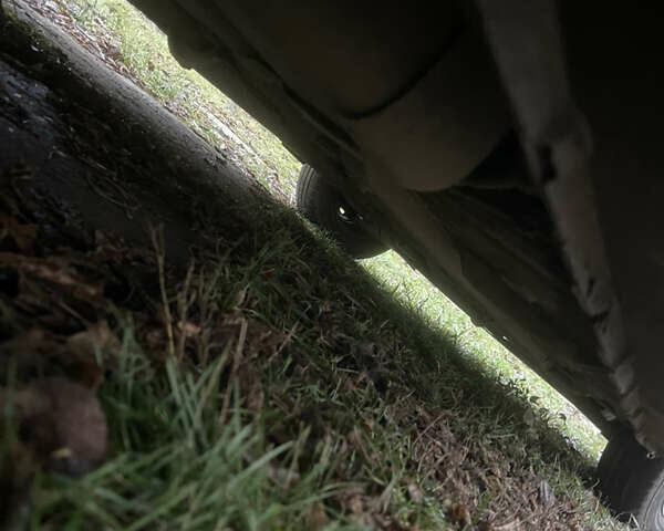 Зелений ЗАЗ Sens, об'ємом двигуна 1.3 л та пробігом 105 тис. км за 2500 $, фото 33 на Automoto.ua