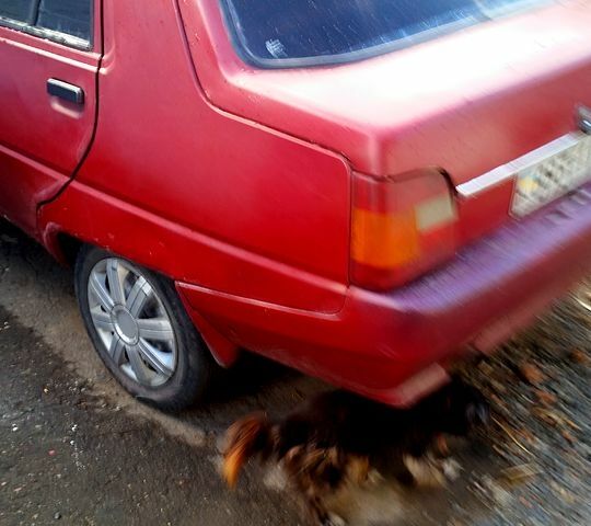 ЗАЗ Славута 1999 в Ватутино на Automoto.ua ЗАЗ Славута, объемом двигателя 1.1 л и пробегом 0 тыс. км за 360 $, фото 3 на Automoto.ua