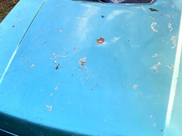 Зеленый ЗАЗ Славута, объемом двигателя 1.2 л и пробегом 287 тыс. км за 650 $, фото 1 на Automoto.ua