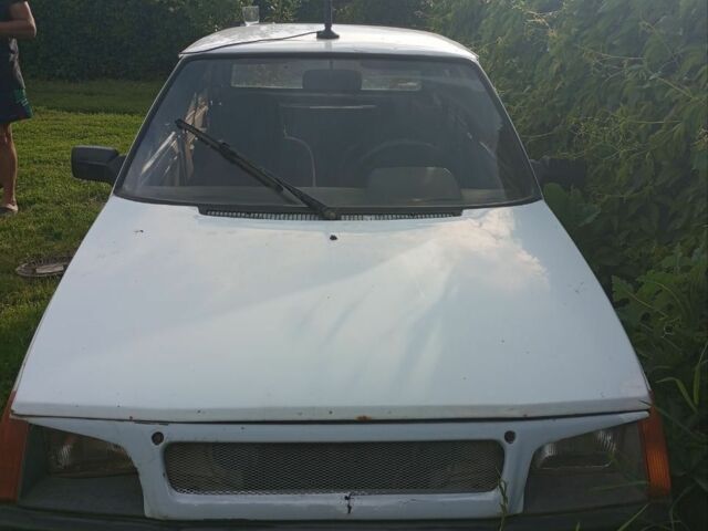 Белый ЗАЗ Таврия, объемом двигателя 7 л и пробегом 1 тыс. км за 402 $, фото 3 на Automoto.ua