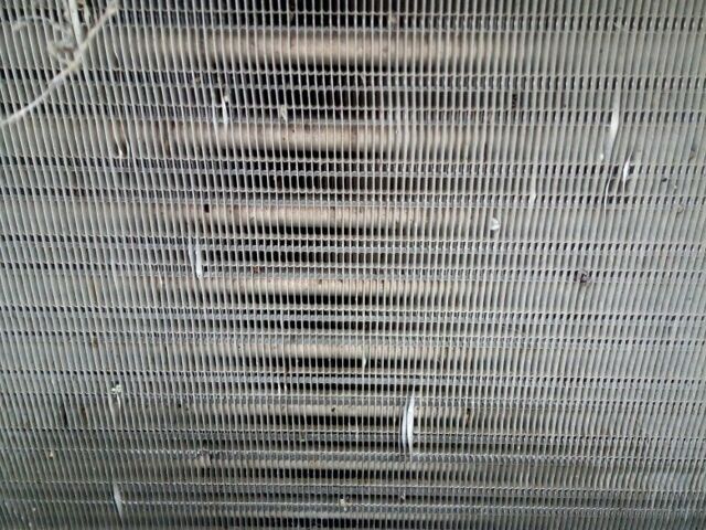 Белый ЗАЗ Таврия, объемом двигателя 0 л и пробегом 50 тыс. км за 15500 $, фото 3 на Automoto.ua