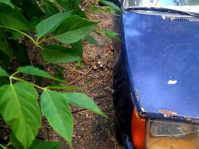 Синий ЗАЗ Таврия, объемом двигателя 1.3 л и пробегом 250 тыс. км за 400 $, фото 4 на Automoto.ua