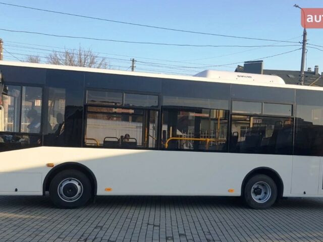 купить новое авто ЗАЗ А10С3А 2024 года от официального дилера Хмельниччина-Авто ЗАЗ ЗАЗ фото