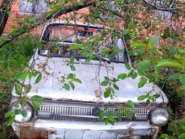 ЗАЗ Запорожець, объемом двигателя 1 л и пробегом 211 тыс. км за 200 $, фото 4 на Automoto.ua