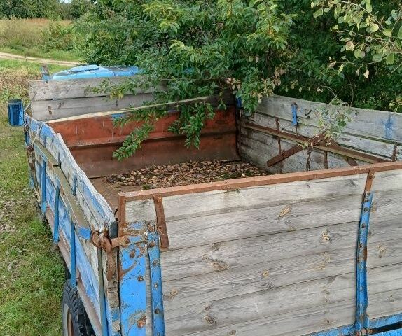 ЗИЛ Другая, объемом двигателя 0 л и пробегом 0 тыс. км за 2600 $, фото 4 на Automoto.ua