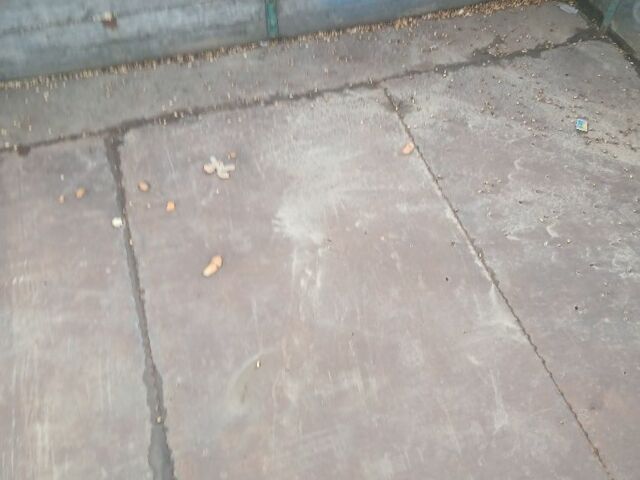 ЗИЛ Другая, объемом двигателя 0 л и пробегом 0 тыс. км за 2200 $, фото 4 на Automoto.ua