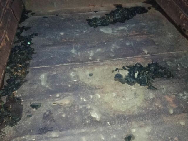 ЗІЛ Другая, об'ємом двигуна 0 л та пробігом 0 тис. км за 3500 $, фото 5 на Automoto.ua