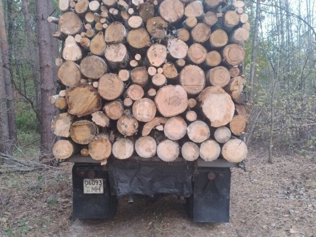 ЗІЛ Другая, об'ємом двигуна 0 л та пробігом 0 тис. км за 3700 $, фото 5 на Automoto.ua