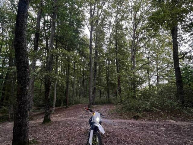 Зонгшен Другая, объемом двигателя 0.25 л и пробегом 0 тыс. км за 687 $, фото 1 на Automoto.ua