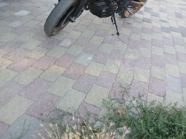 Зонгшен Другая, объемом двигателя 0.2 л и пробегом 0 тыс. км за 796 $, фото 1 на Automoto.ua